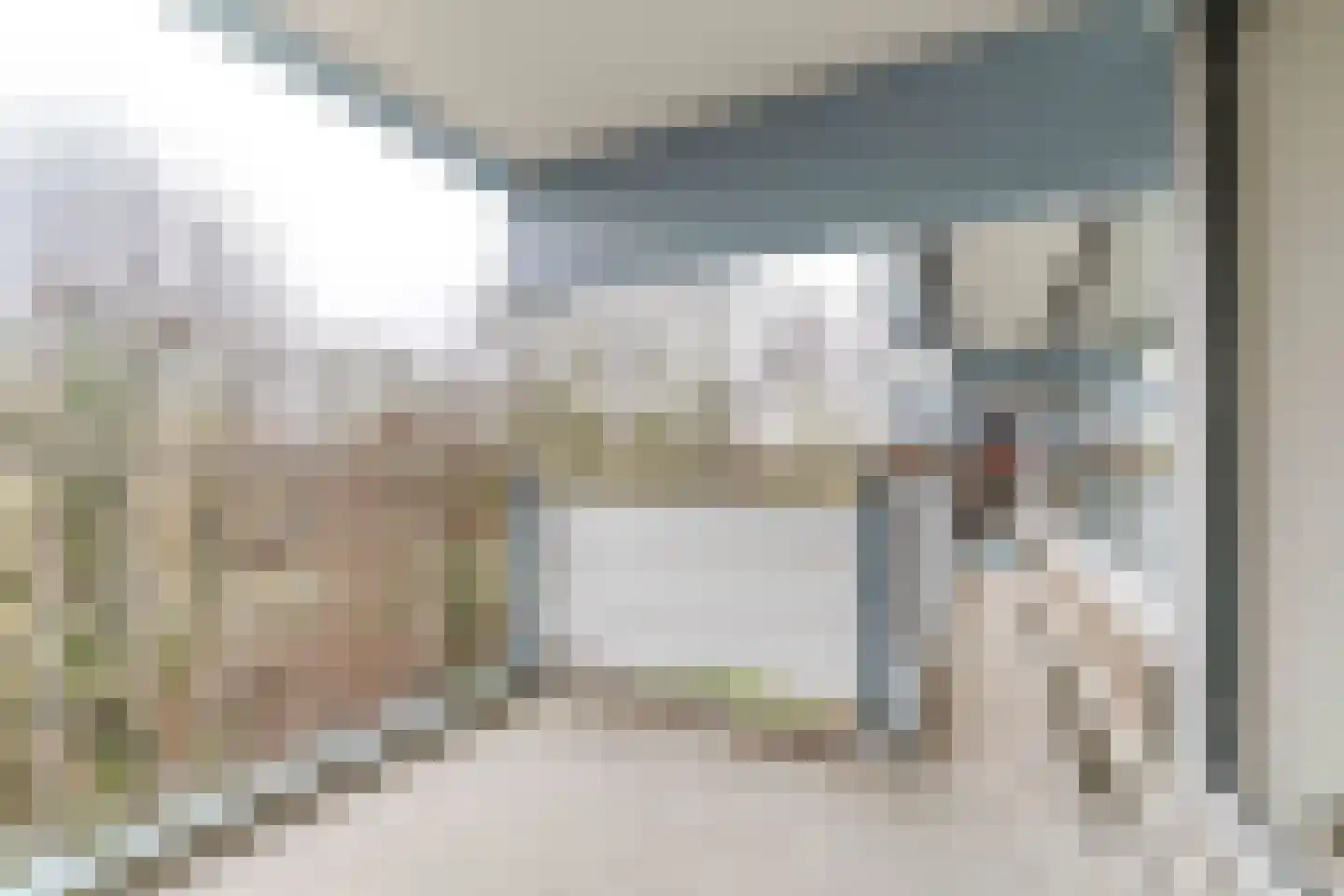 Aart van der Leeuwlaan 1070 Delft thumbnail 11