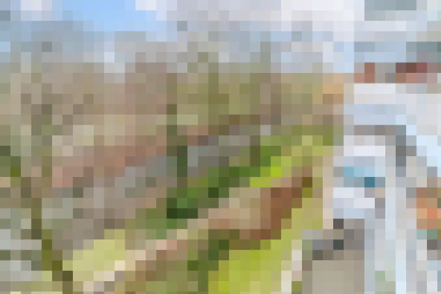 Aart van der Leeuwlaan 1070 Delft thumbnail 13