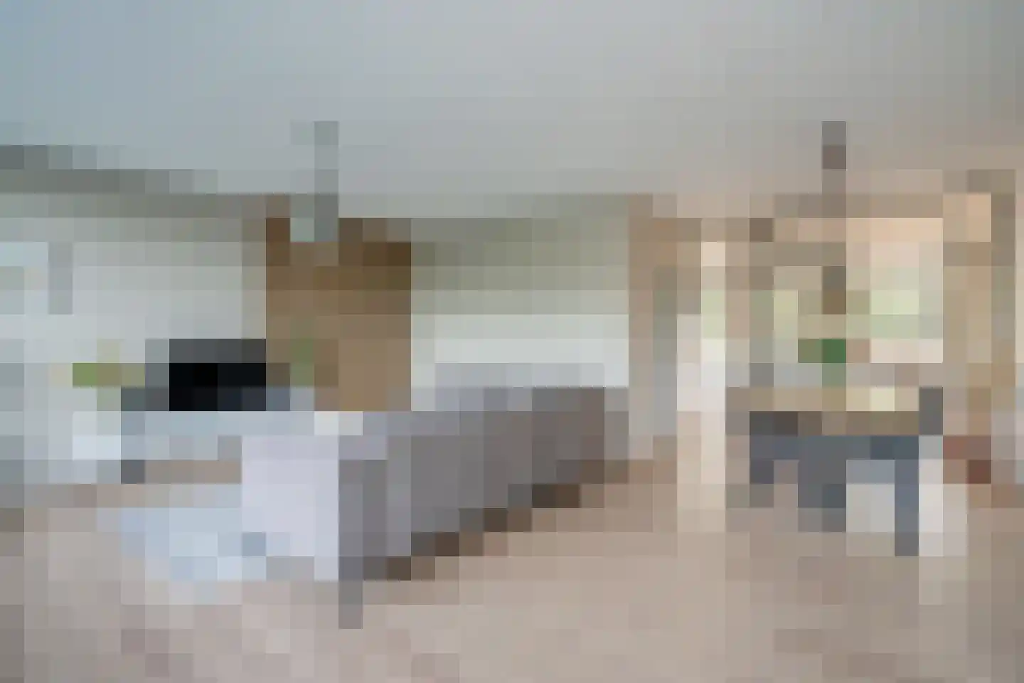 Aart van der Leeuwlaan 1074 Delft thumbnail 11