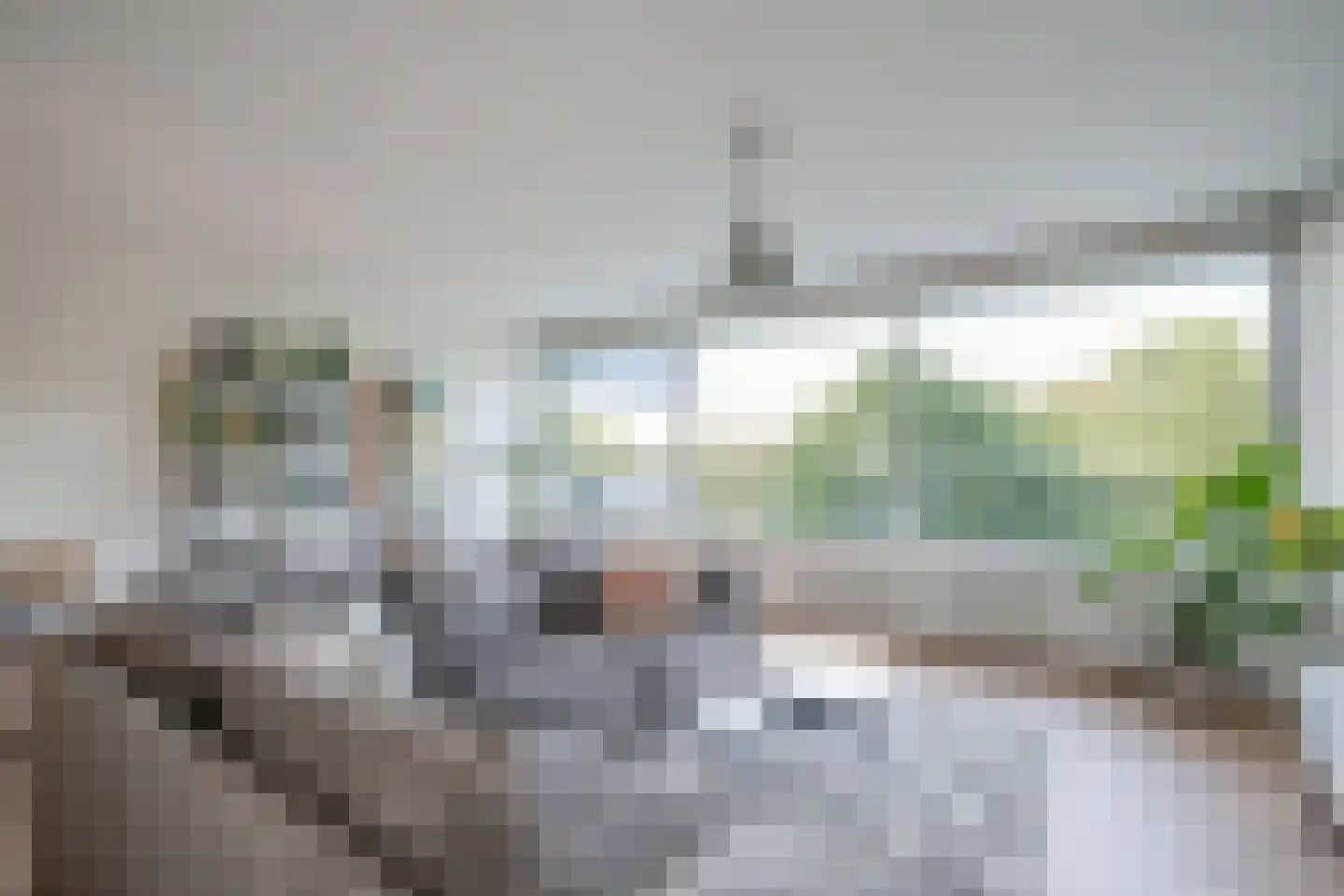 Aart van der Leeuwlaan 1074 Delft thumbnail 12