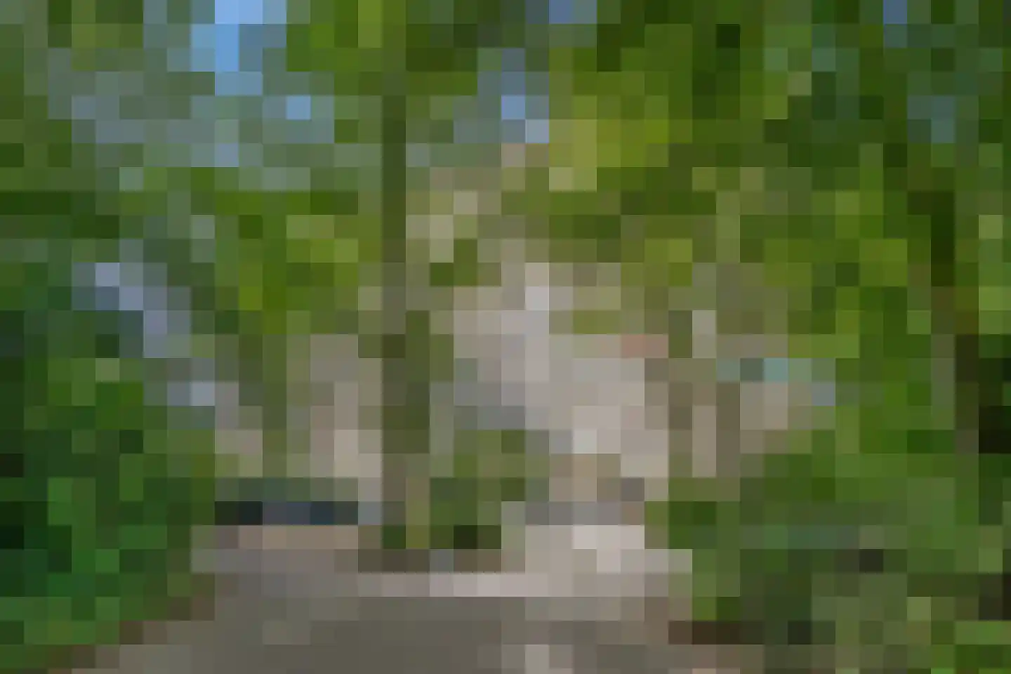 Aart van der Leeuwlaan 1074 Delft thumbnail 7