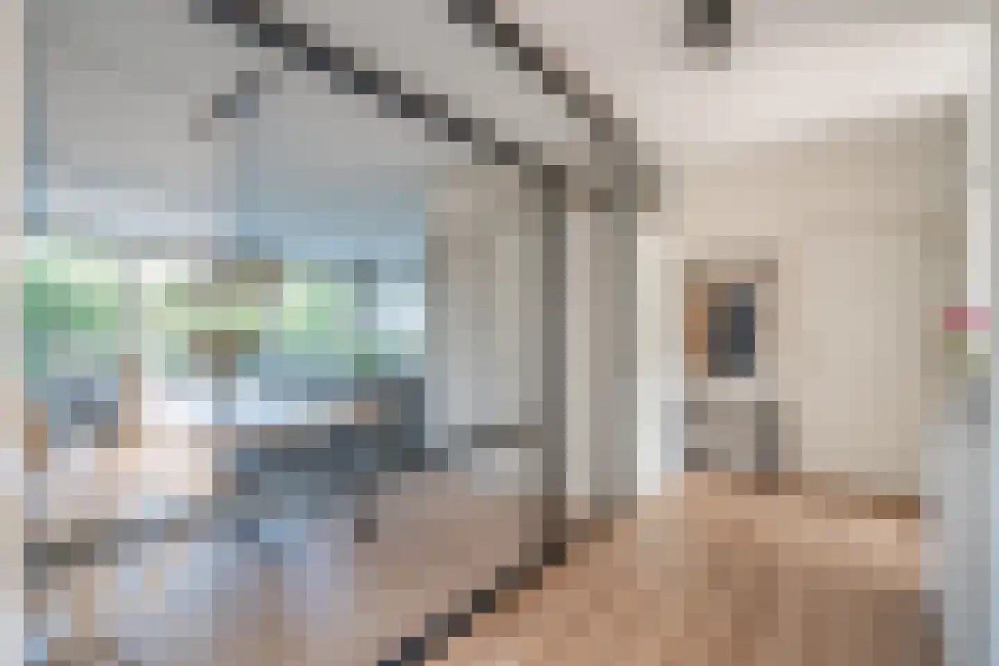 Aart van der Leeuwlaan 1074 Delft thumbnail 8