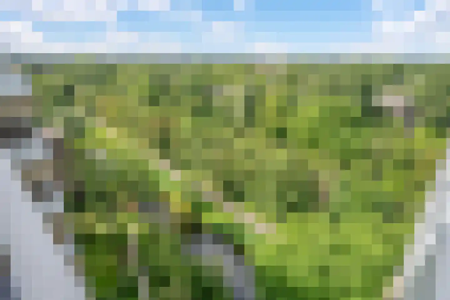 Aart van der Leeuwlaan 108 Delft thumbnail 14
