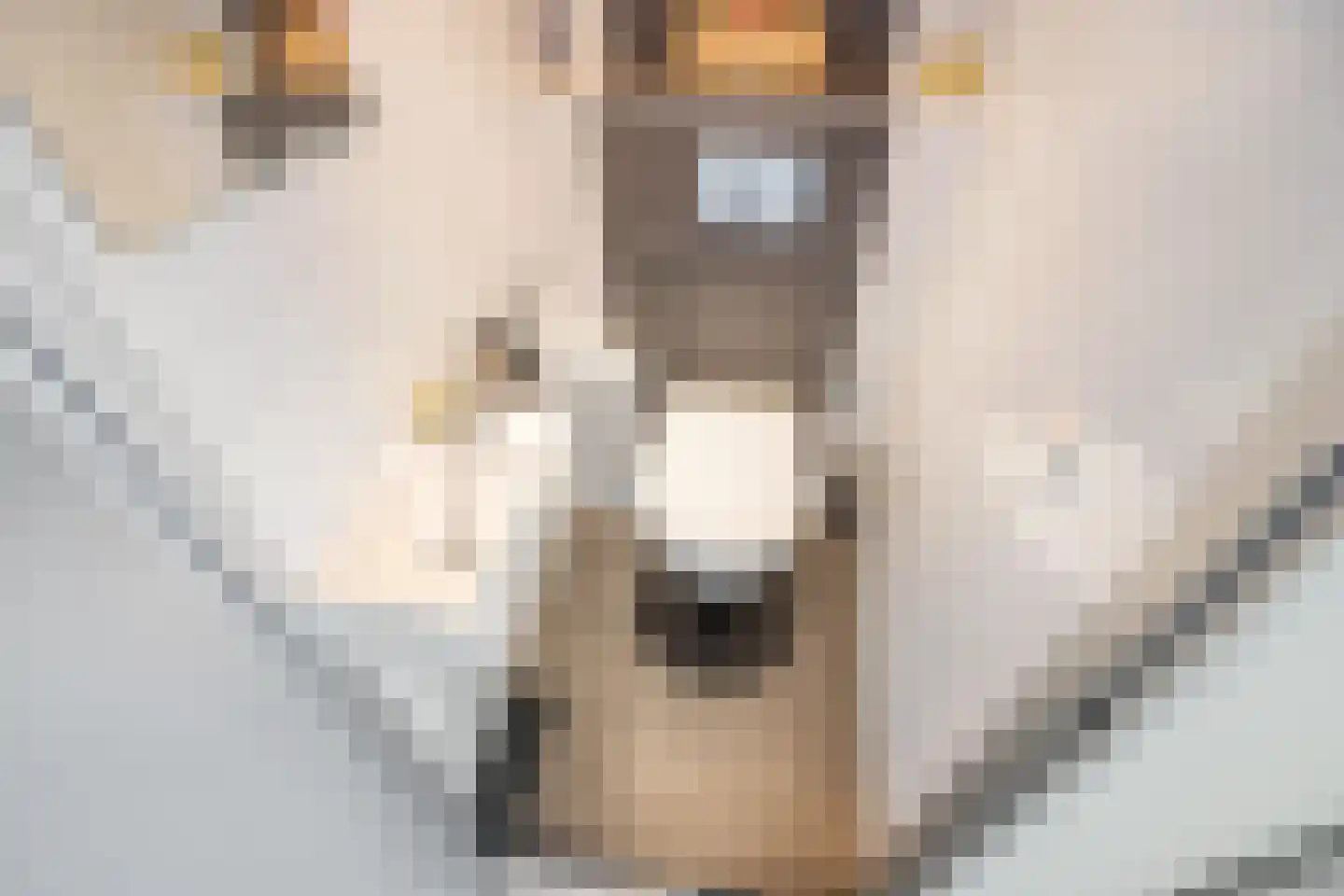 Aart van der Leeuwlaan 108 Delft thumbnail 23