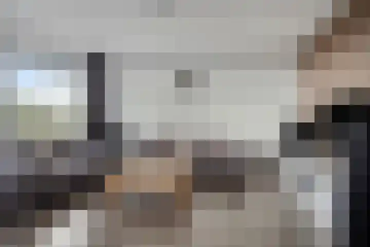 Aart van der Leeuwlaan 1082 Delft thumbnail 12