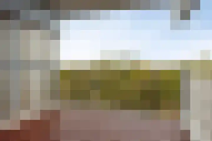 Aart van der Leeuwlaan 1082 Delft thumbnail 17