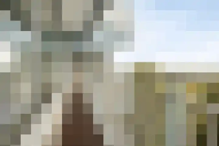 Aart van der Leeuwlaan 1082 Delft thumbnail 18