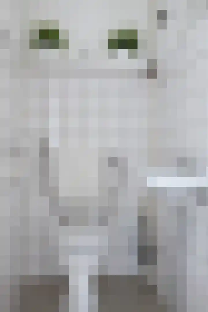 Aart van der Leeuwlaan 1082 Delft thumbnail 21