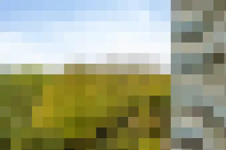 Aart van der Leeuwlaan 1082 Delft thumbnail 22