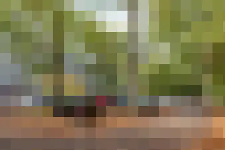 Aart van der Leeuwlaan 1082 Delft thumbnail 24