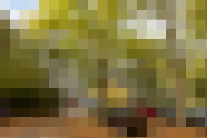 Aart van der Leeuwlaan 1082 Delft thumbnail 25