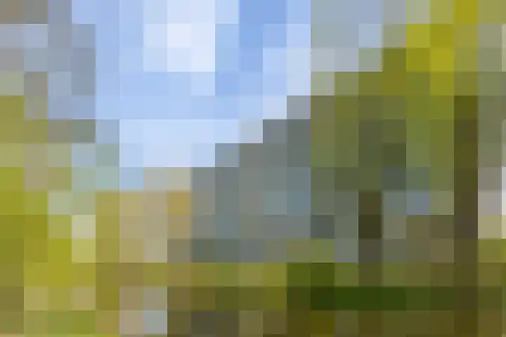 Aart van der Leeuwlaan 1082 Delft thumbnail 27