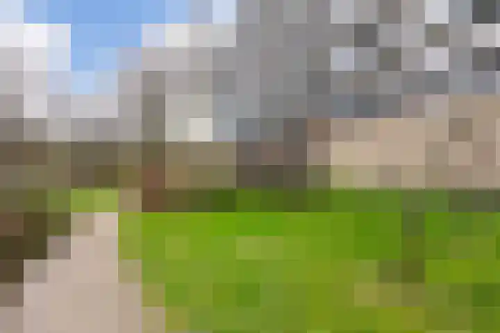Aart van der Leeuwlaan 1082 Delft thumbnail 28
