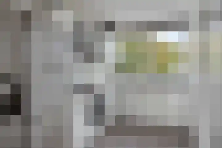 Aart van der Leeuwlaan 1082 Delft thumbnail 8