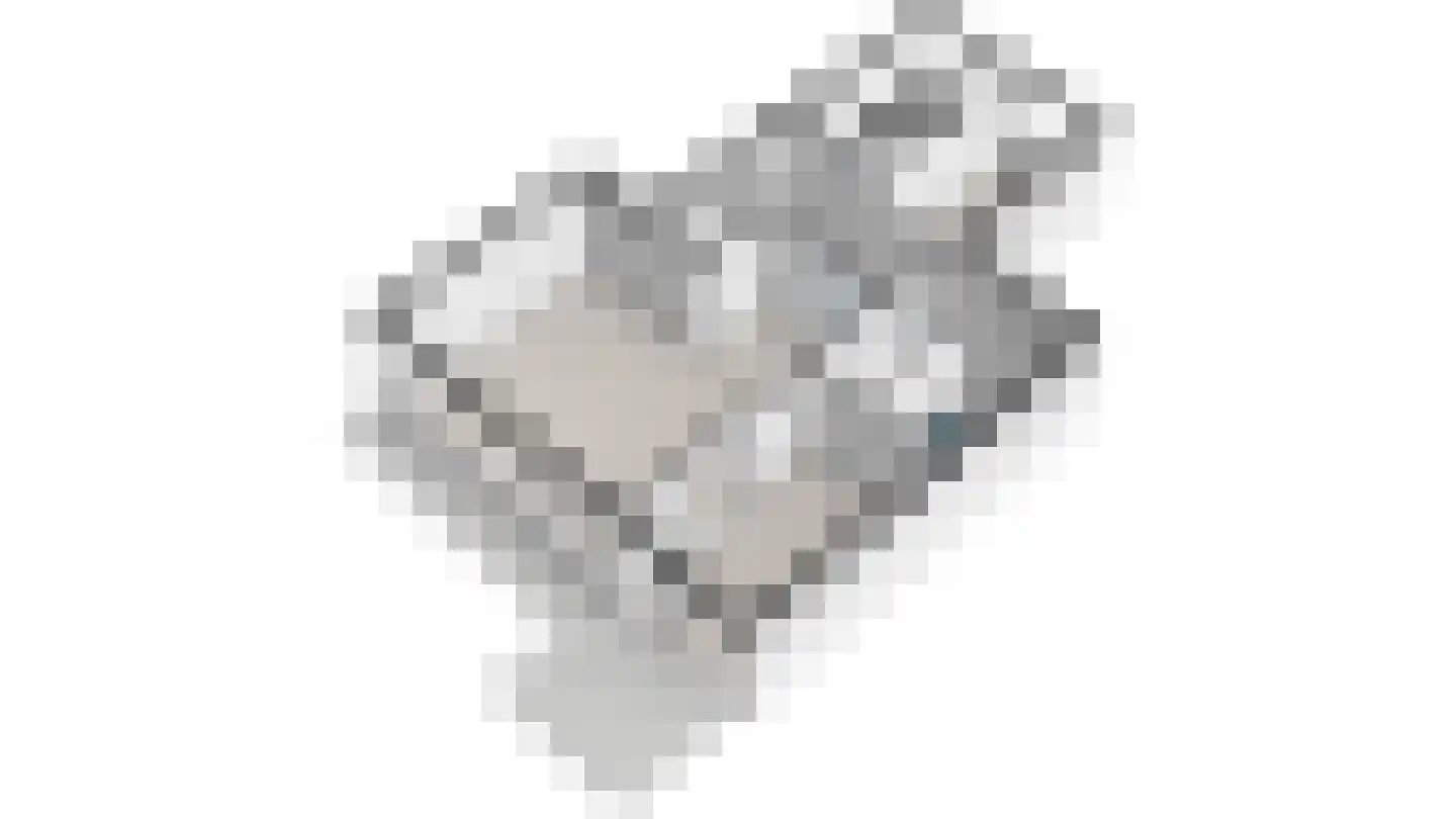 Aart van der Leeuwlaan 1090 Delft thumbnail 28
