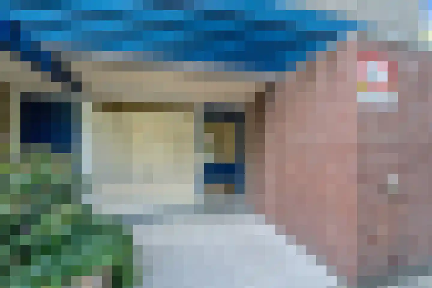 Aart van der Leeuwlaan 1090 Delft thumbnail 7
