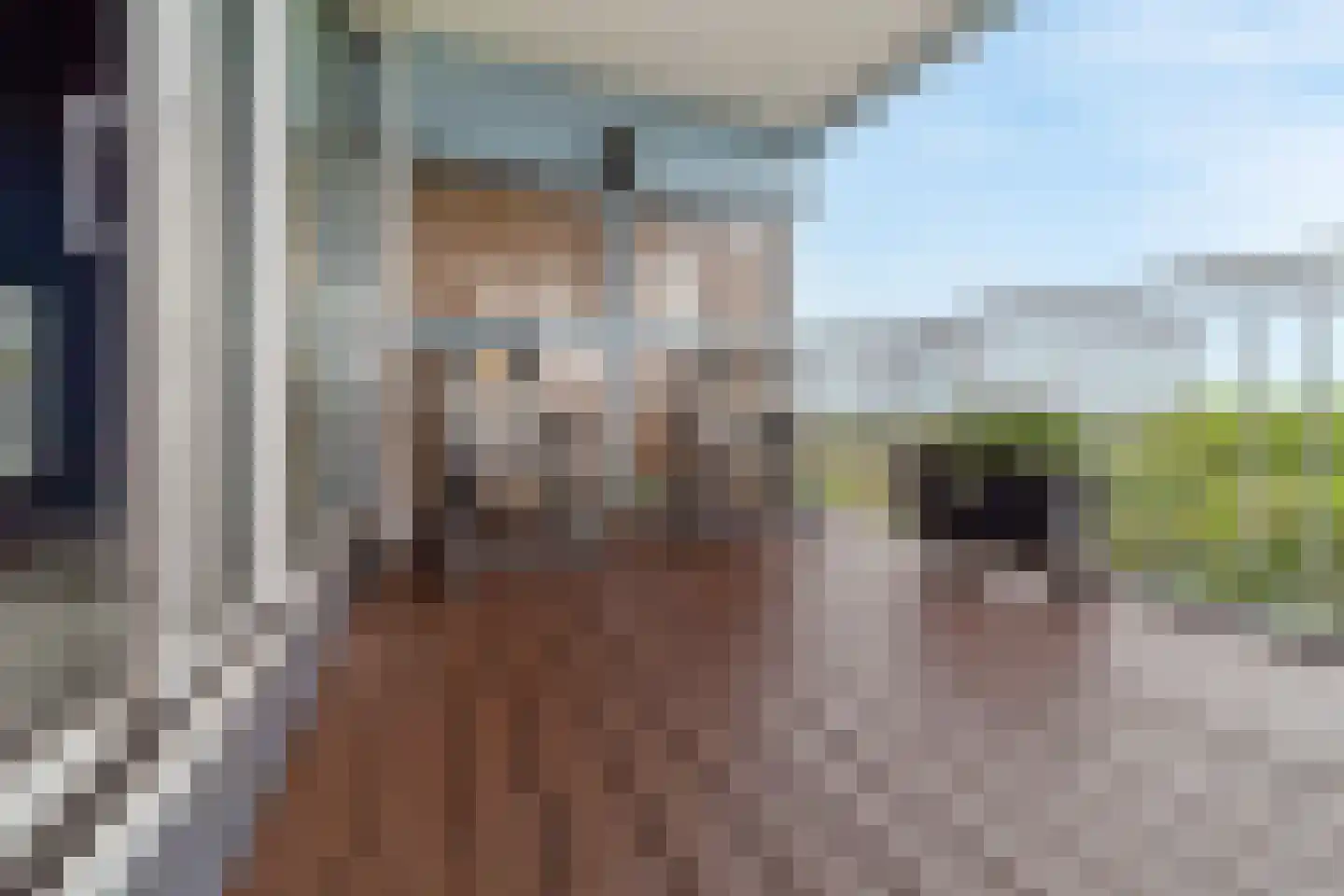 Aart van der Leeuwlaan 1098 Delft thumbnail 28