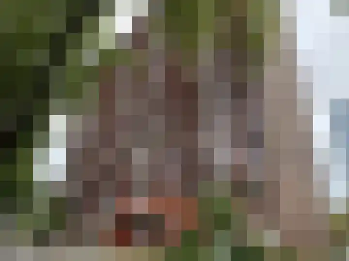 Aart van der Leeuwlaan 133 in Delft