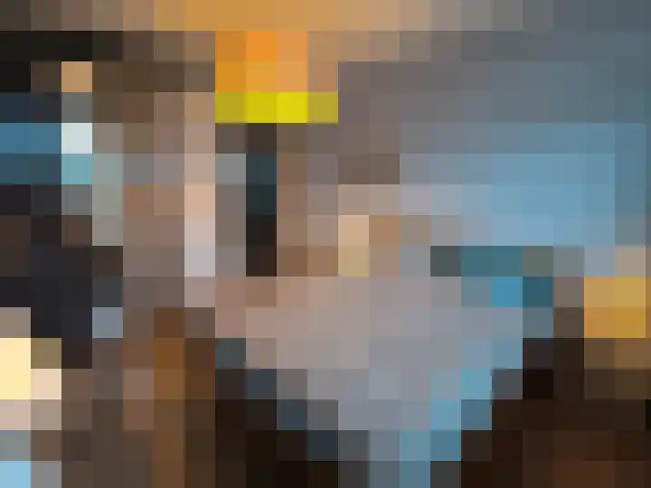 Aart van der Leeuwlaan 133 Delft thumbnail 10