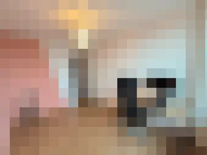 Aart van der Leeuwlaan 133 Delft thumbnail 14