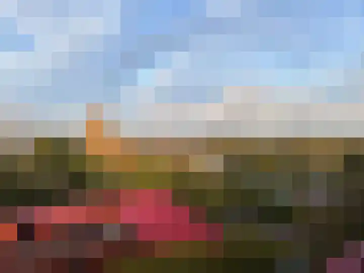 Aart van der Leeuwlaan 133 Delft thumbnail 16
