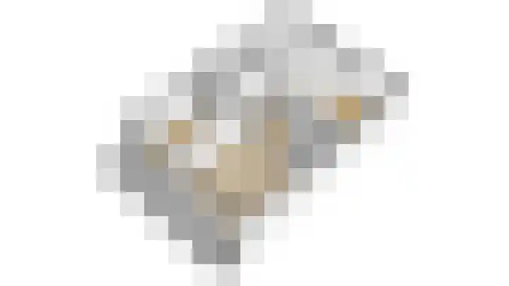 Aart van der Leeuwlaan 133 Delft thumbnail 18