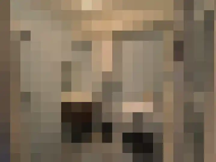 Aart van der Leeuwlaan 133 Delft thumbnail 8