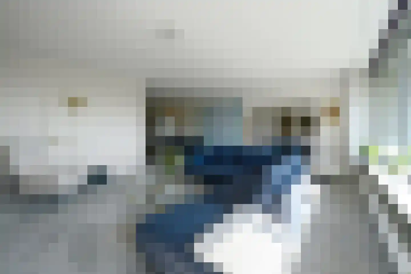 Aart van der Leeuwlaan 142 Delft thumbnail 12