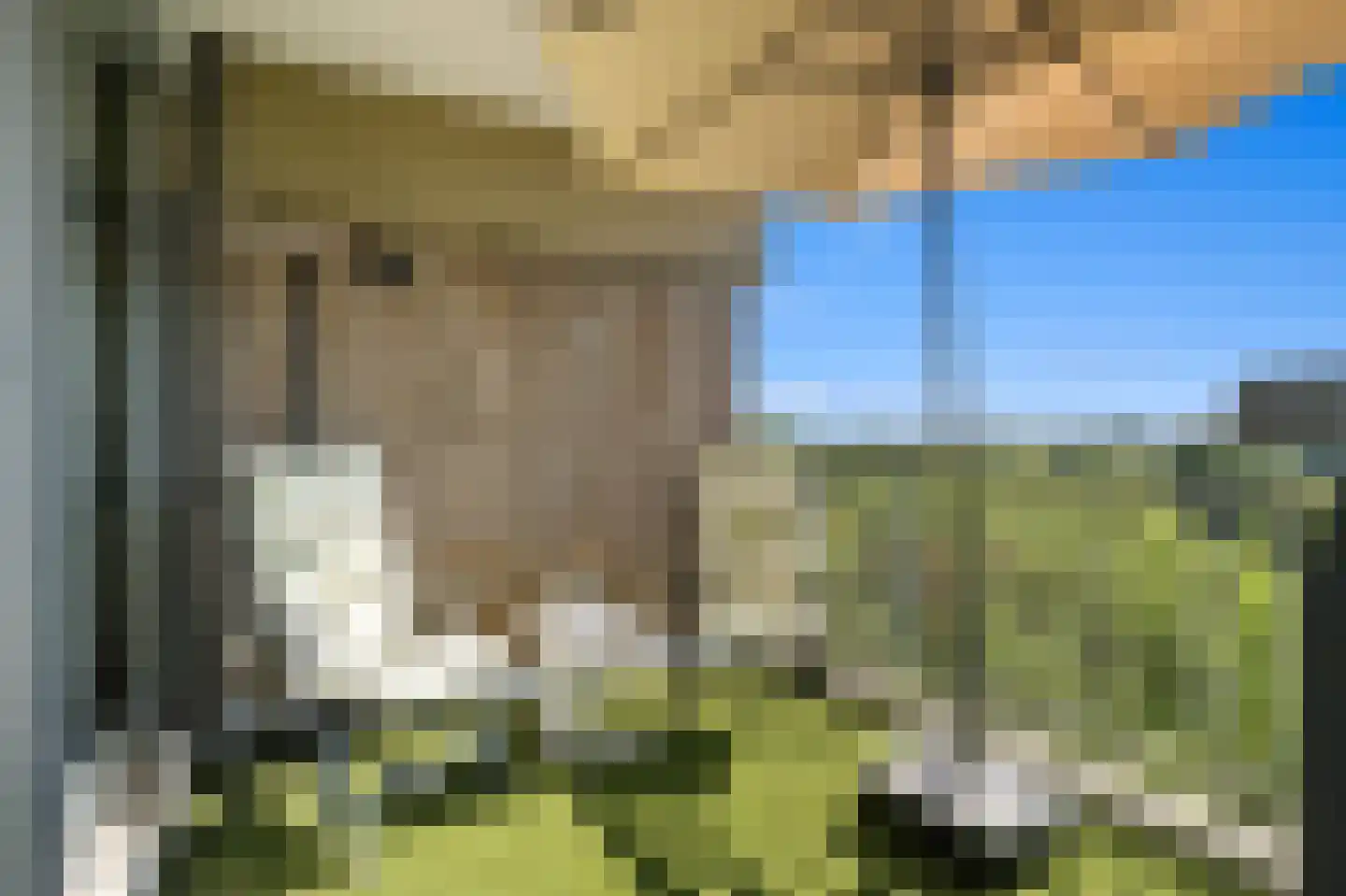 Aart van der Leeuwlaan 142 Delft thumbnail 18