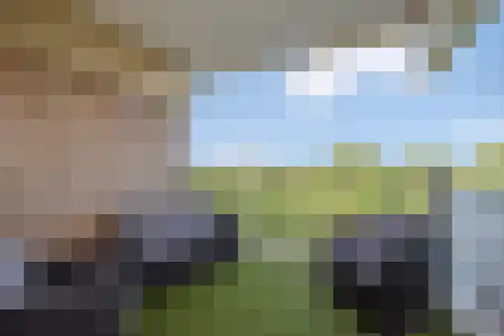 Aart van der Leeuwlaan 142 Delft thumbnail 19