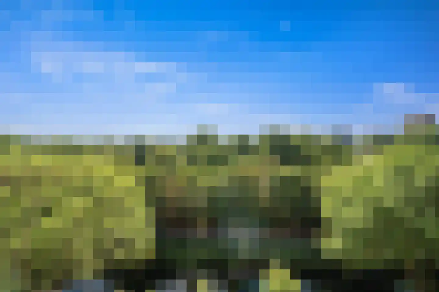 Aart van der Leeuwlaan 142 Delft thumbnail 19