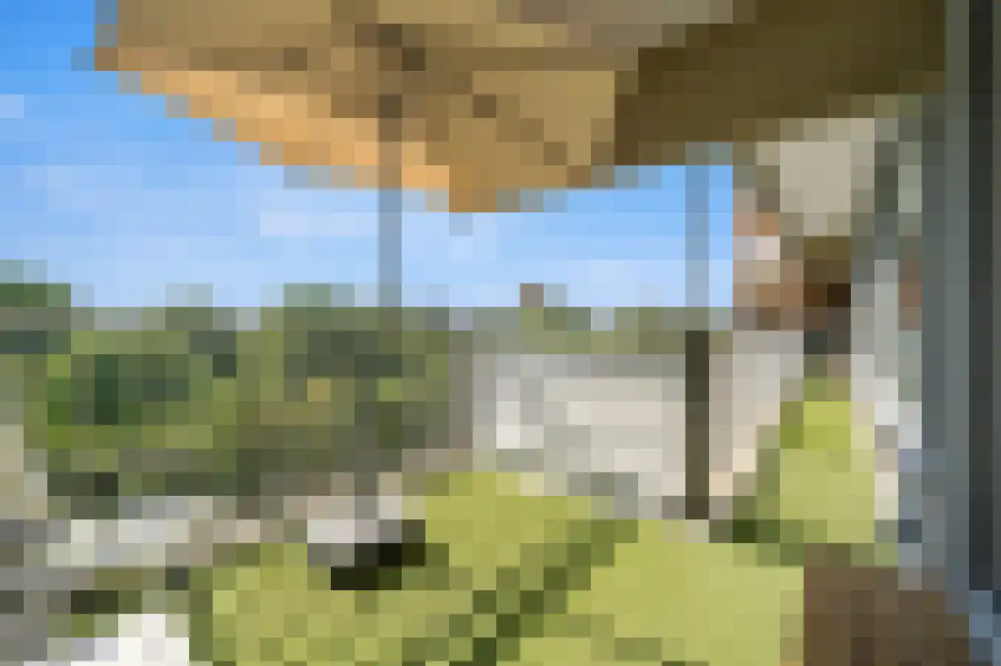 Aart van der Leeuwlaan 142 Delft thumbnail 20