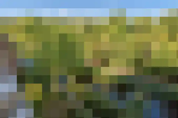 Aart van der Leeuwlaan 142 Delft thumbnail 23