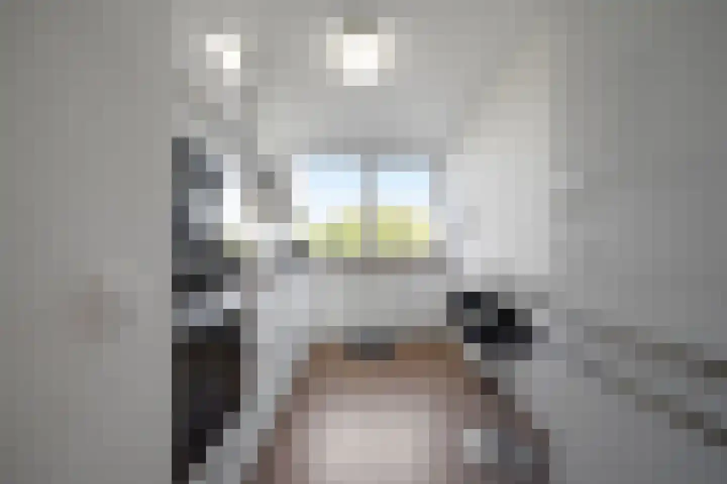 Aart van der Leeuwlaan 142 Delft thumbnail 24