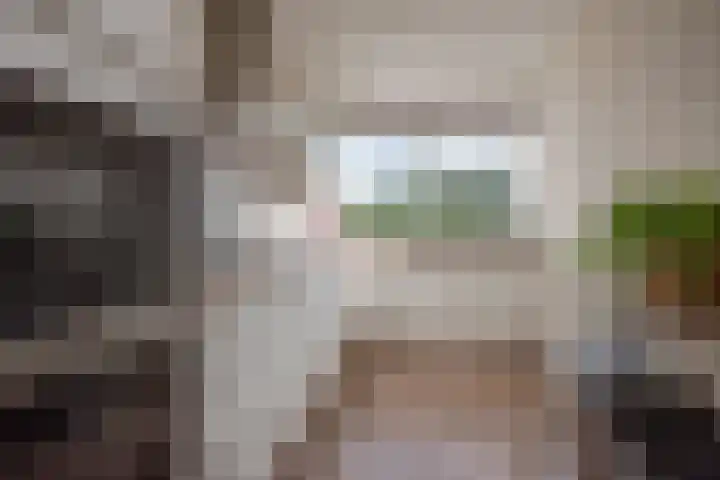Aart van der Leeuwlaan 142 Delft thumbnail 25