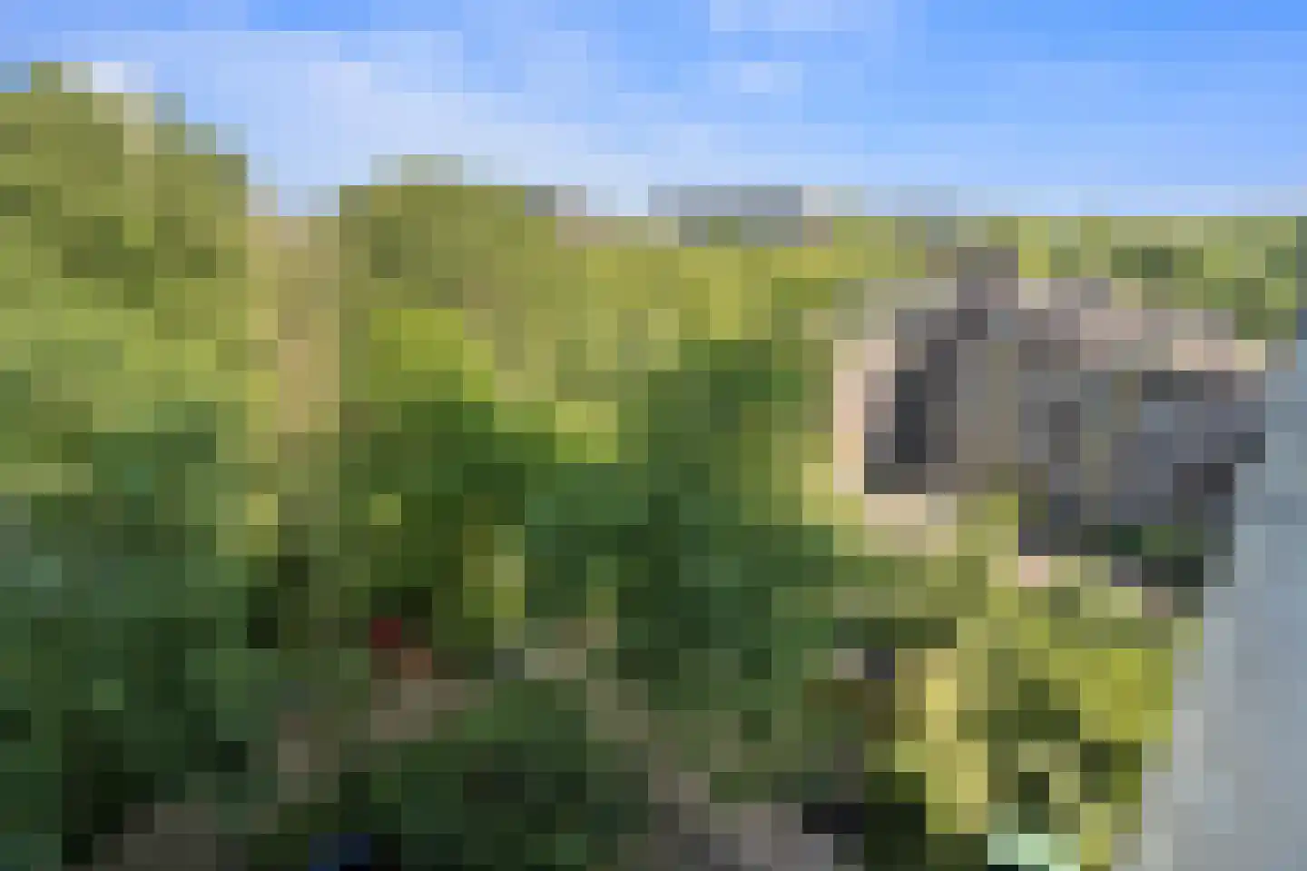 Aart van der Leeuwlaan 142 Delft thumbnail 31