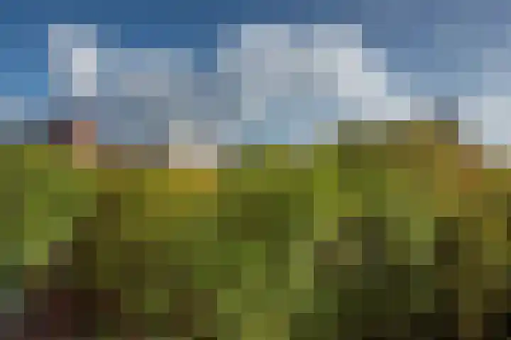 Aart van der Leeuwlaan 142 Delft thumbnail 34
