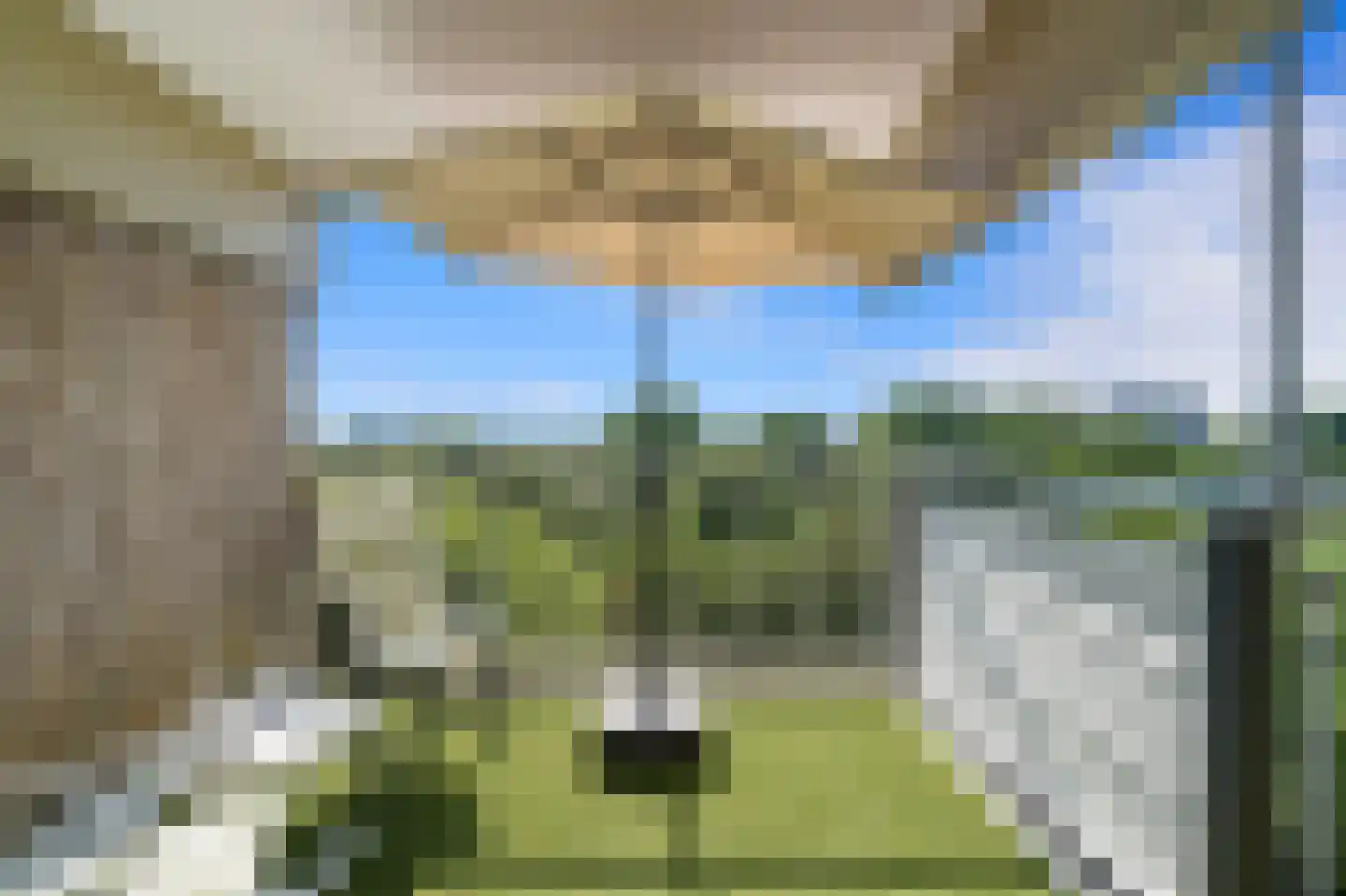 Aart van der Leeuwlaan 142 Delft thumbnail 4