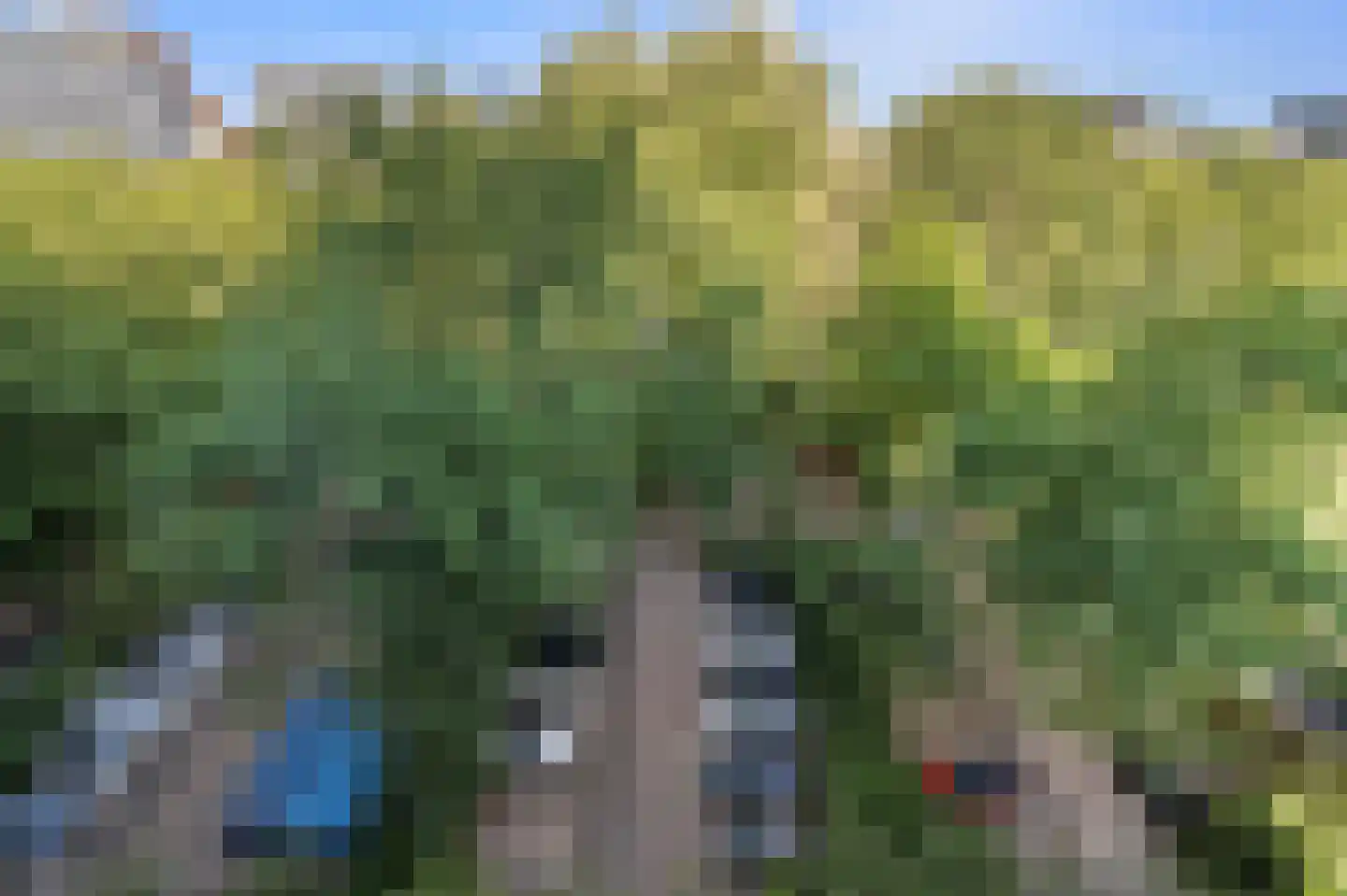 Aart van der Leeuwlaan 142 Delft thumbnail 43