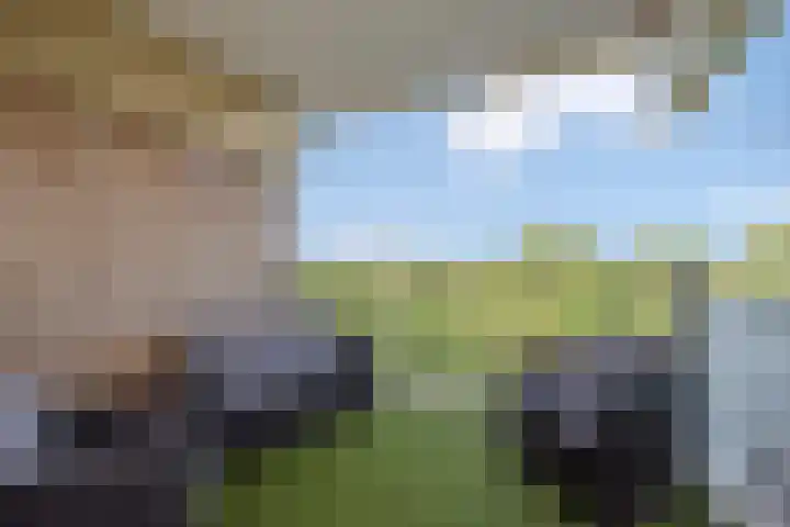 Aart van der Leeuwlaan 142 Delft thumbnail 6