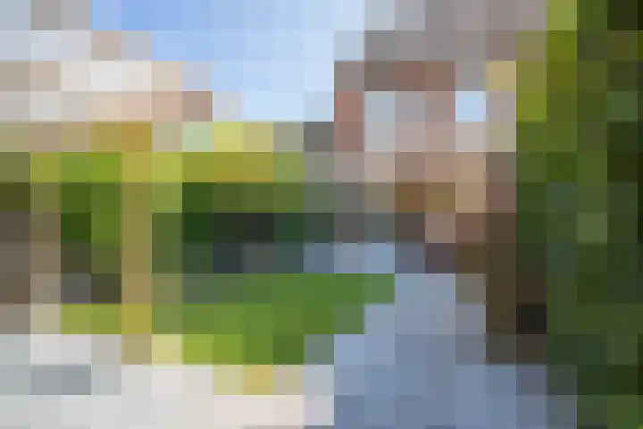 Aart van der Leeuwlaan 15 De Meern thumbnail 29