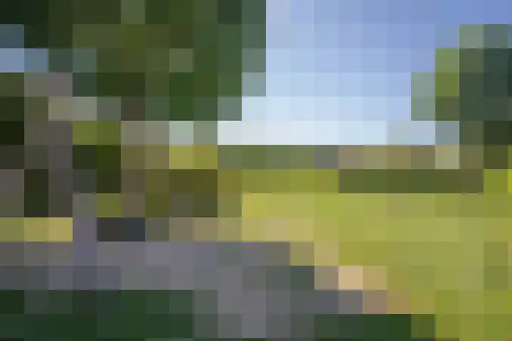 Aart van der Leeuwlaan 15 De Meern thumbnail 34