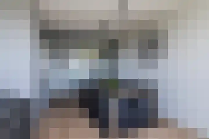 Aart van der Leeuwlaan 154 Delft thumbnail 11