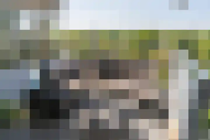 Aart van der Leeuwlaan 154 Delft thumbnail 17