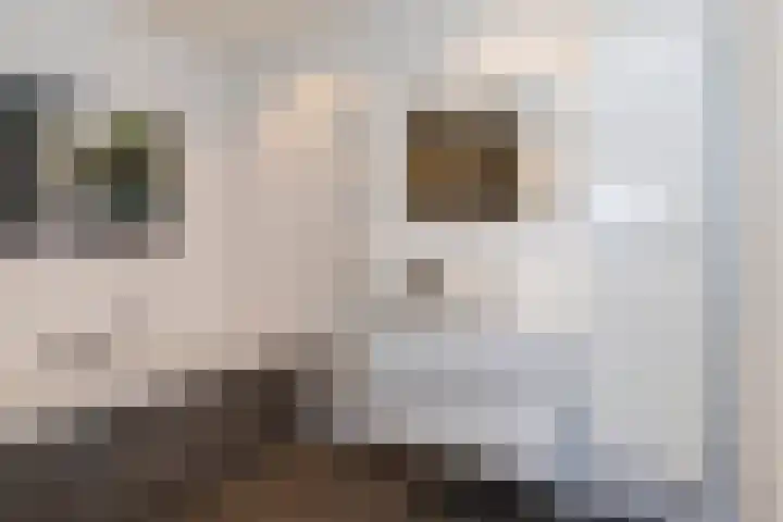 Aart van der Leeuwlaan 154 Delft thumbnail 21