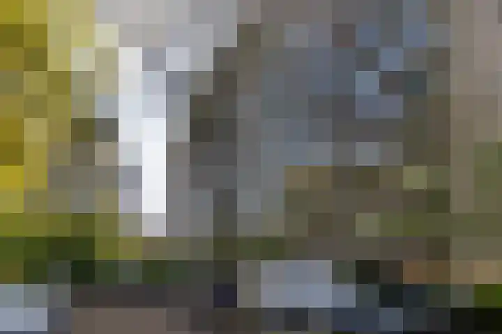 Aart van der Leeuwlaan 154 Delft thumbnail 28