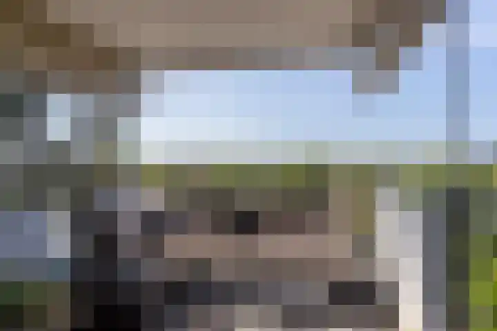 Aart van der Leeuwlaan 154 Delft thumbnail 4