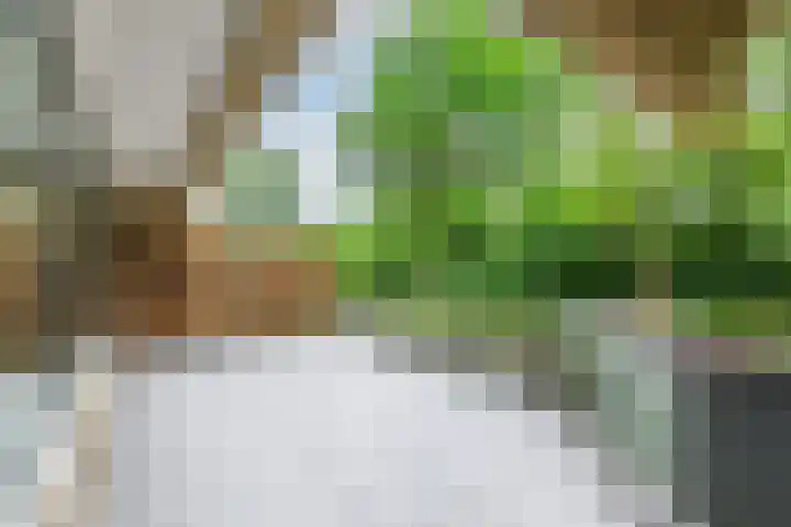 Aart van der Leeuwlaan 16 Delft thumbnail 18
