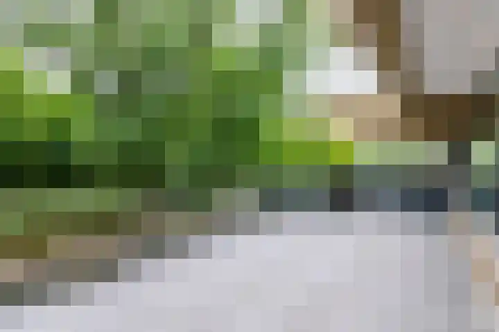 Aart van der Leeuwlaan 16 Delft thumbnail 19