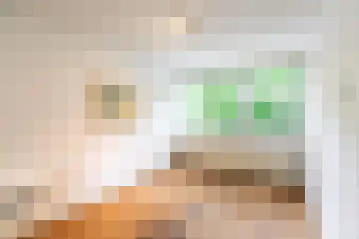 Aart van der Leeuwlaan 16 Delft thumbnail 23